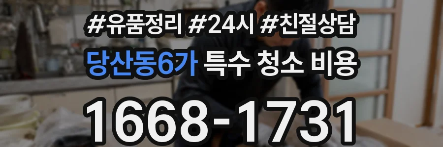 당산동6가 특수 청소 비용