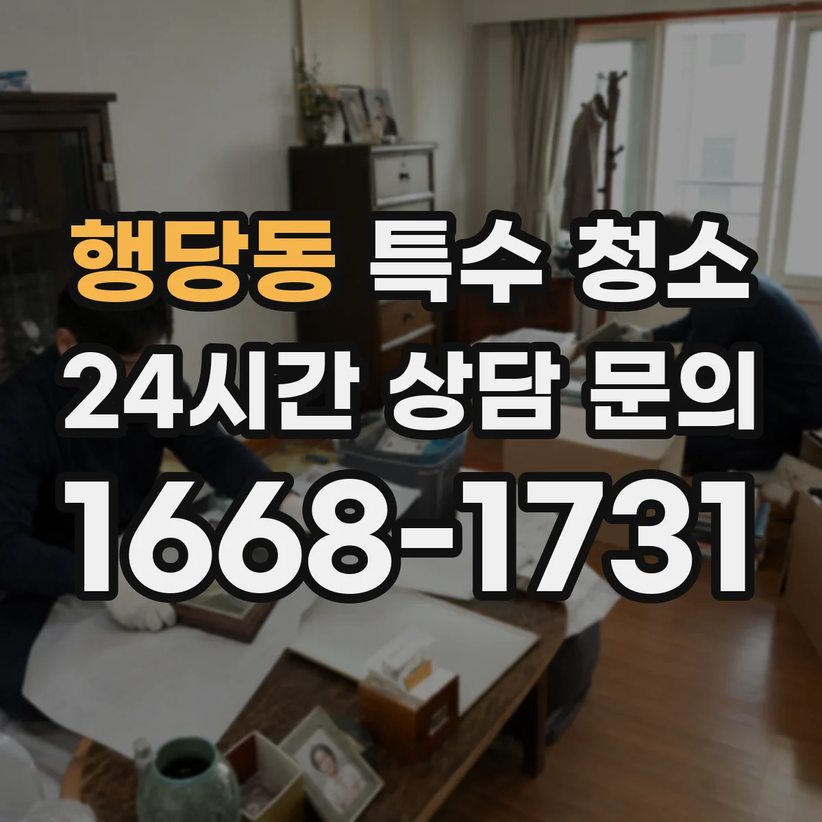 행당동 특수 청소