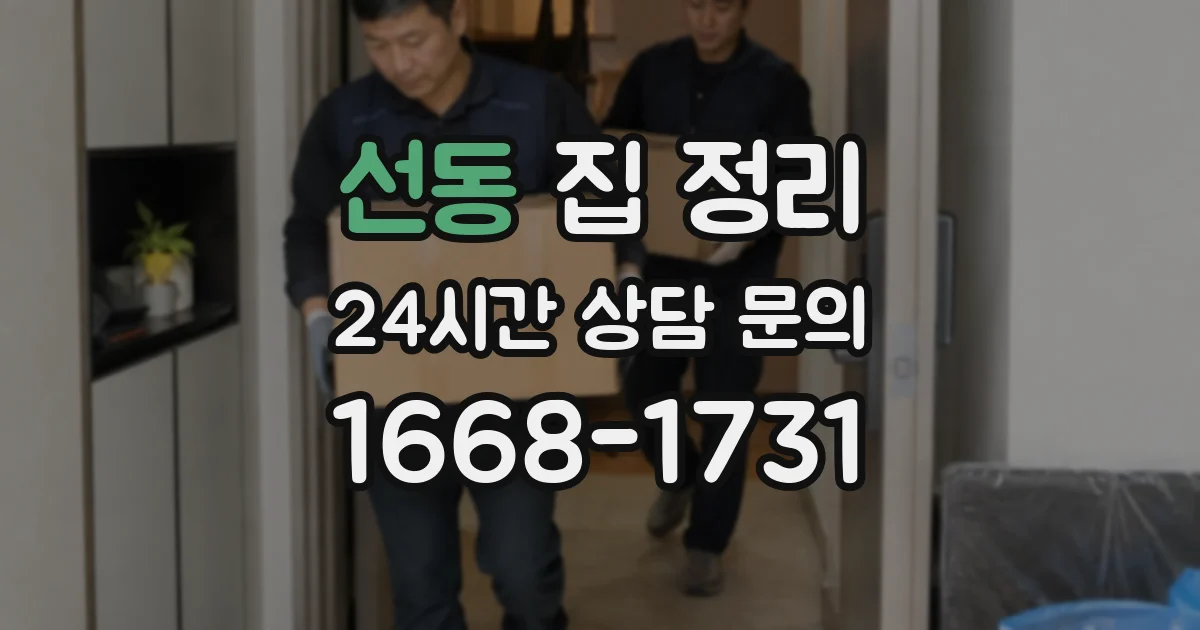 선동 집 정리