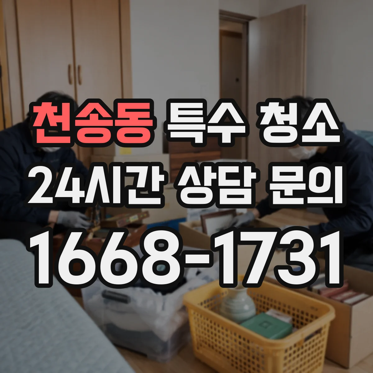 천송동 특수 청소