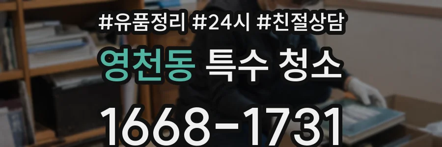 영천동 특수 청소
