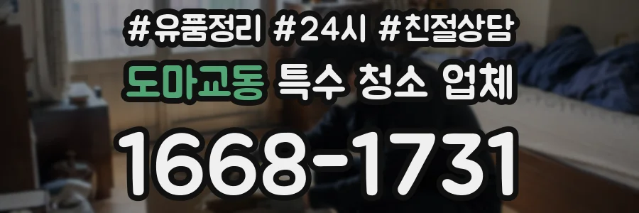 도마교동 특수 청소 업체