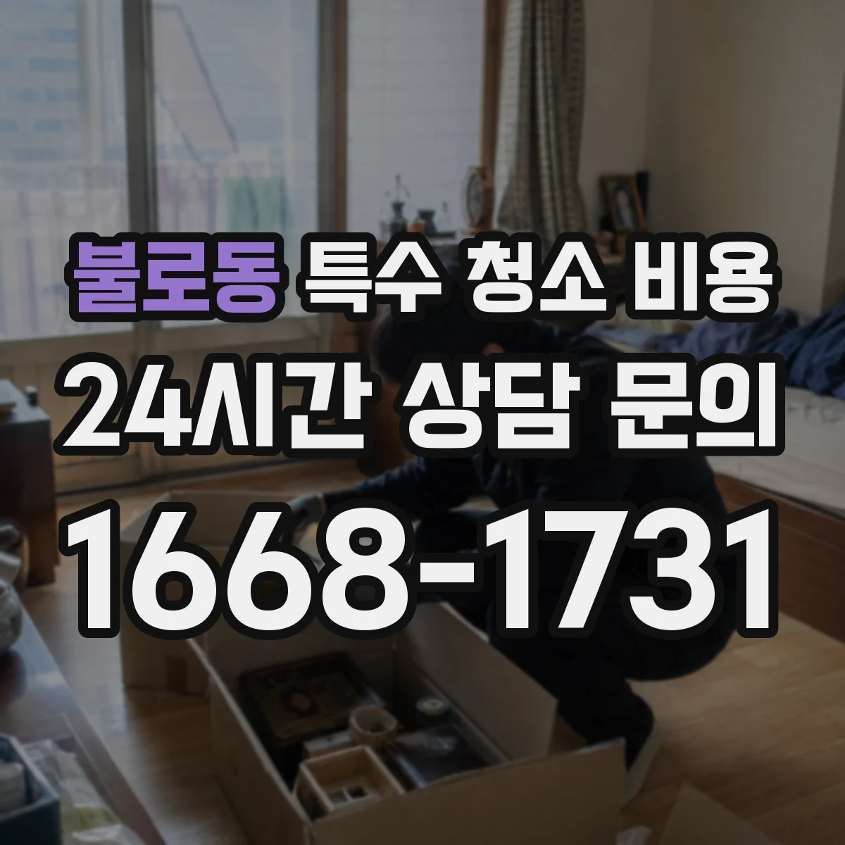 불로동 특수 청소 비용