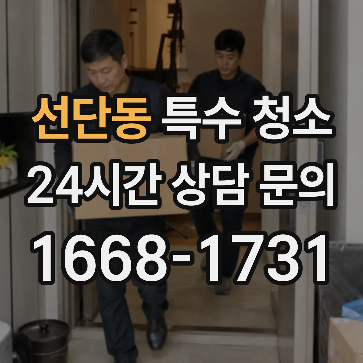 선단동 특수 청소