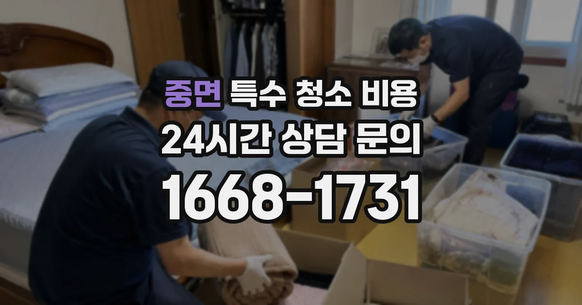중면 특수 청소 비용