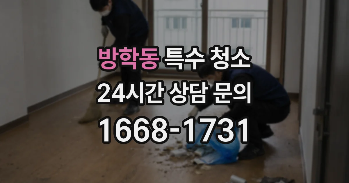 방학동 특수 청소