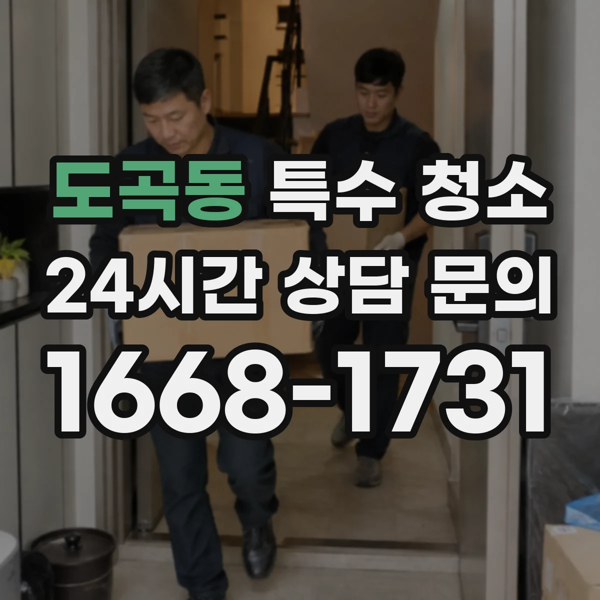 도곡동 특수 청소