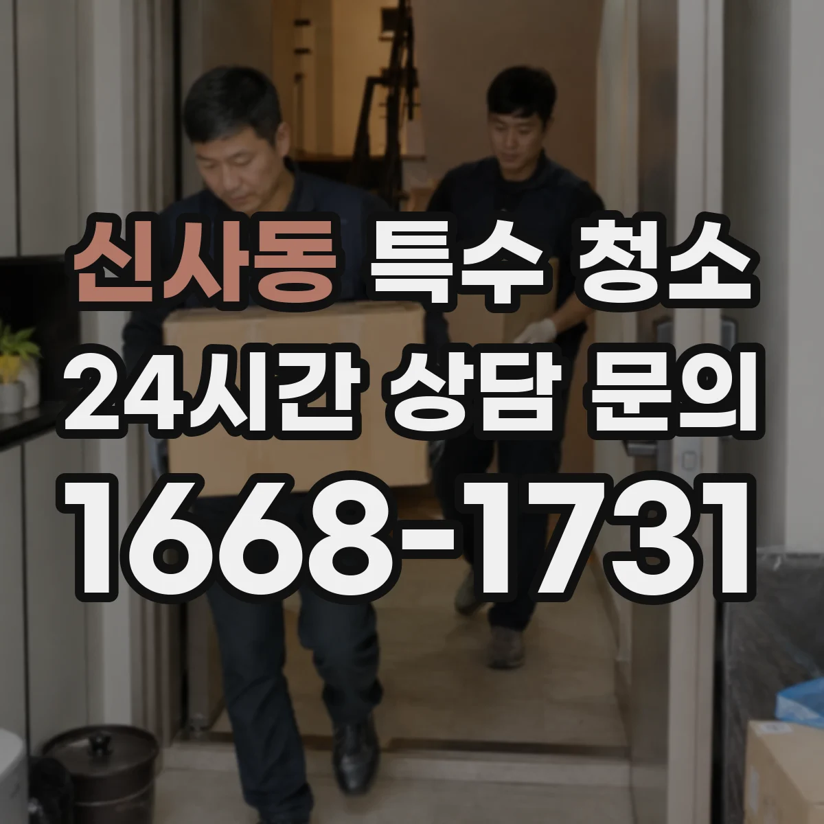 신사동 특수 청소