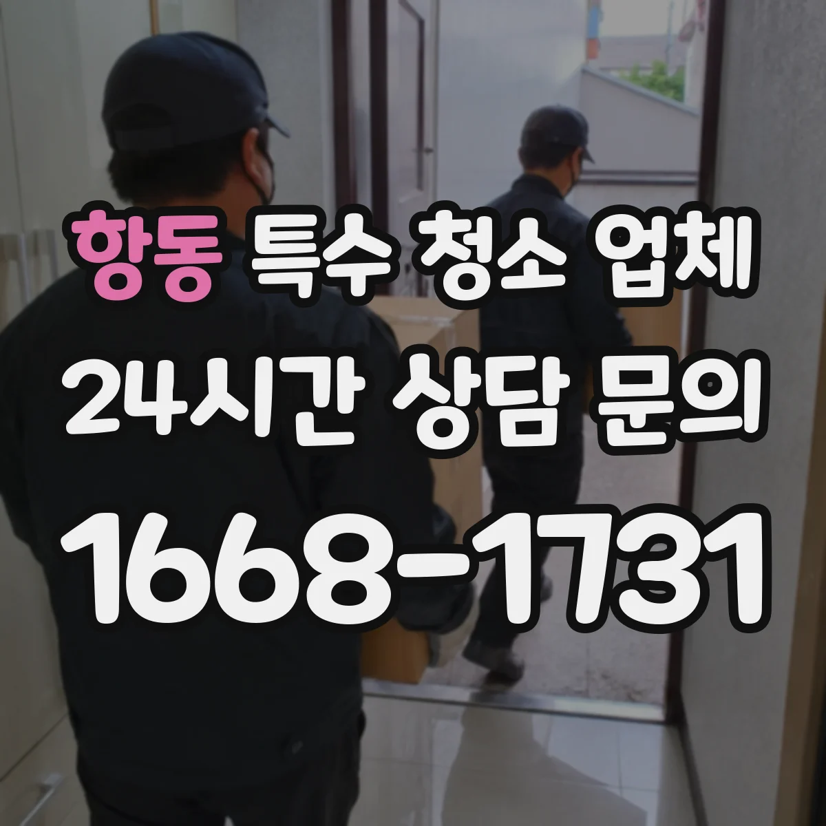 항동 특수 청소 업체