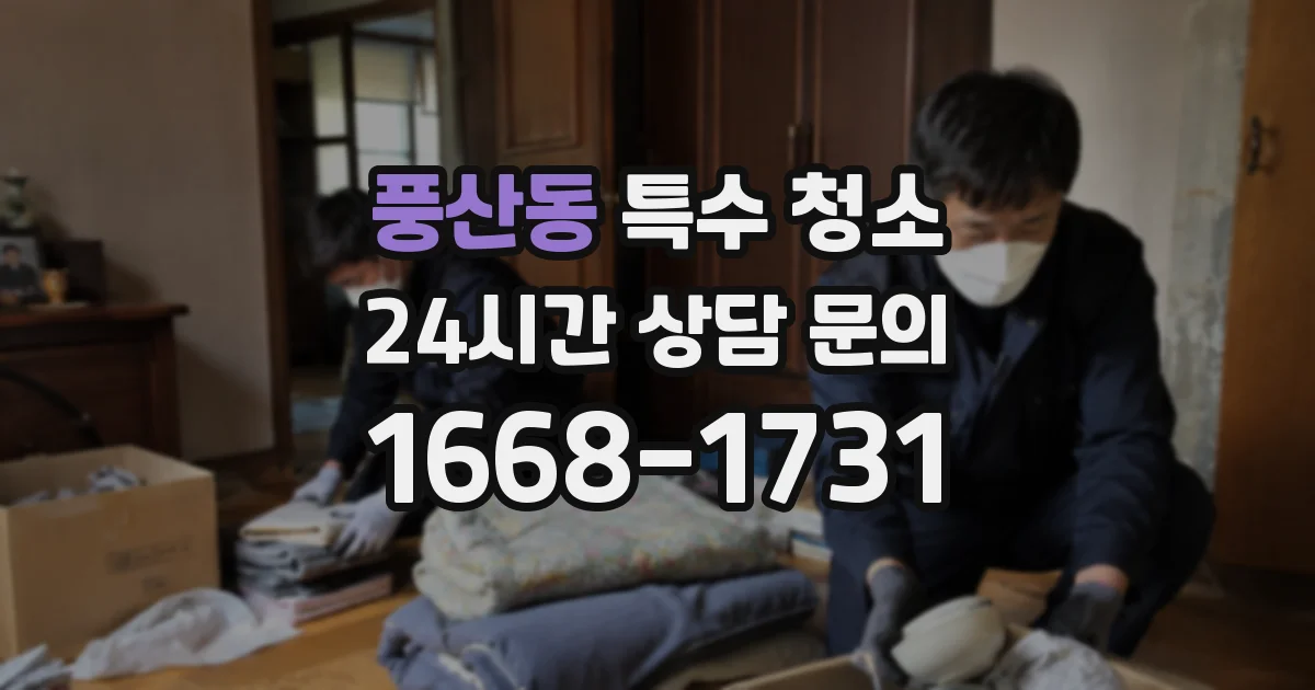 풍산동 특수 청소