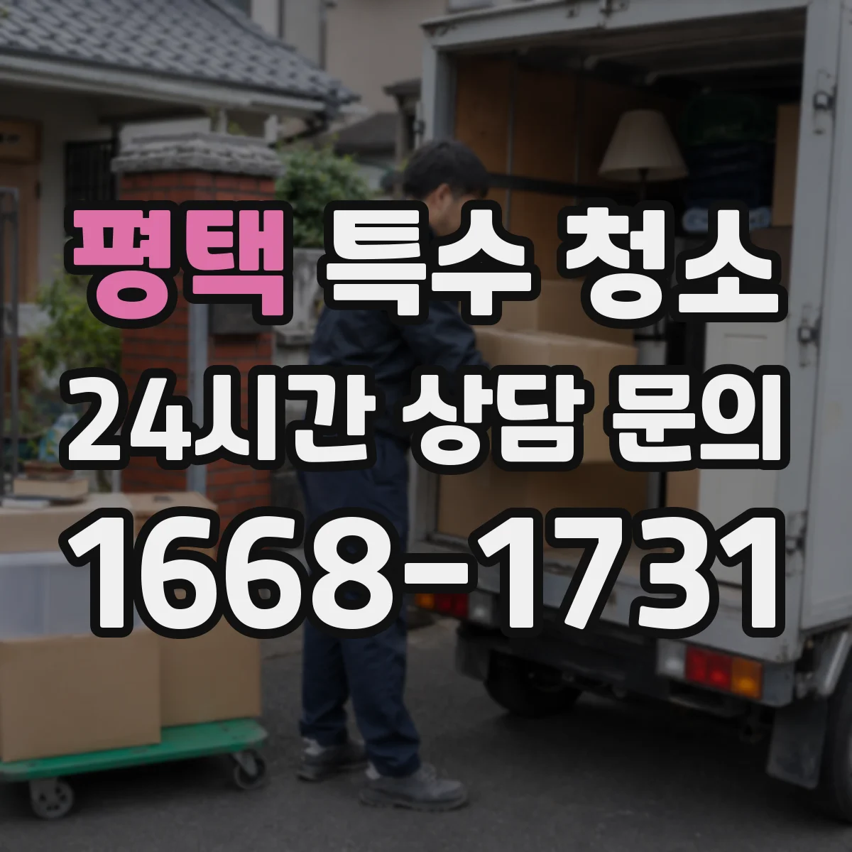 평택 특수 청소