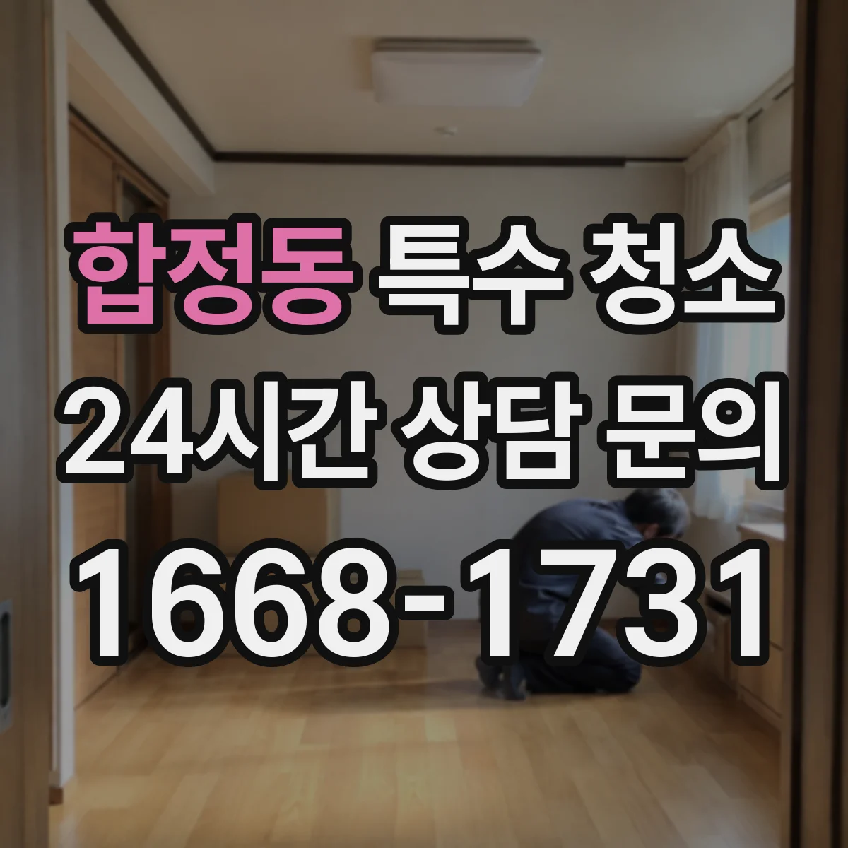 합정동 특수 청소