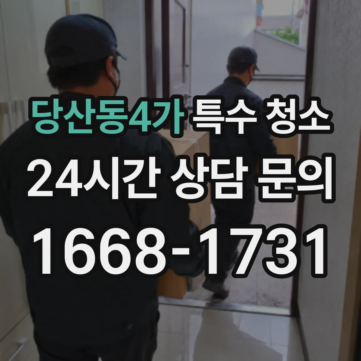 당산동4가 특수 청소