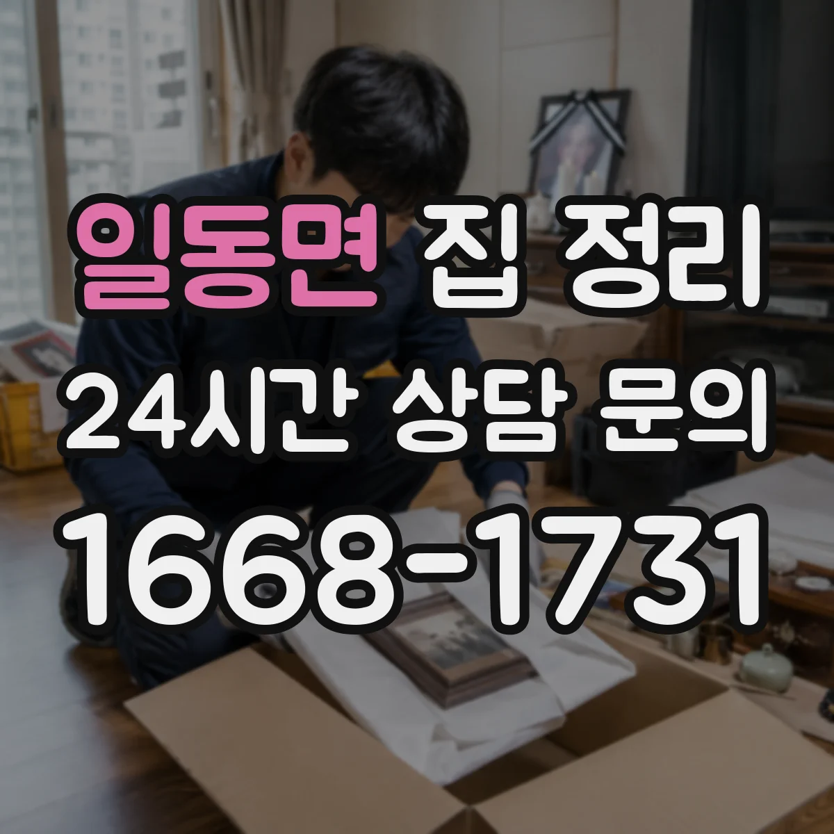 일동면 집 정리