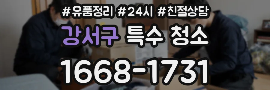 강서구 특수 청소