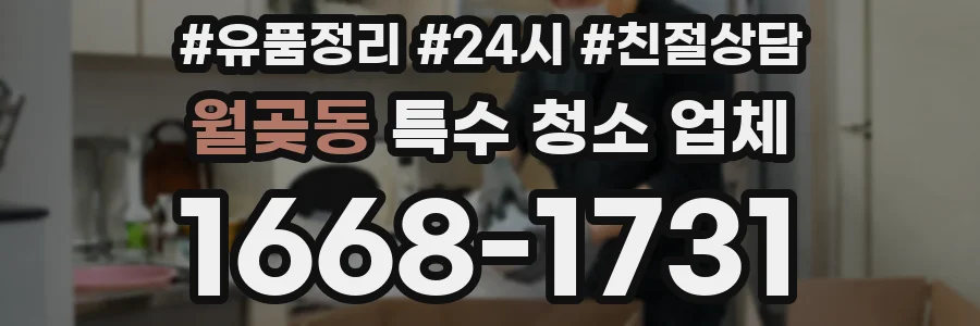월곶동 특수 청소 업체