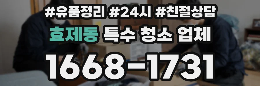 효제동 특수 청소 업체