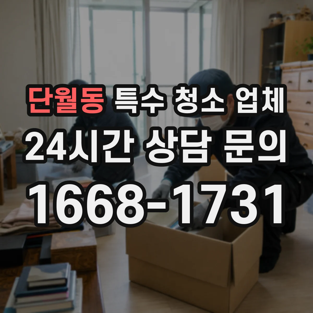 단월동 특수 청소 업체