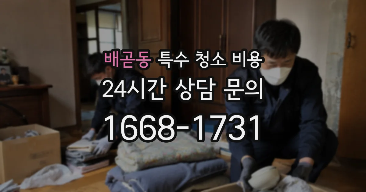배곧동 특수 청소 비용
