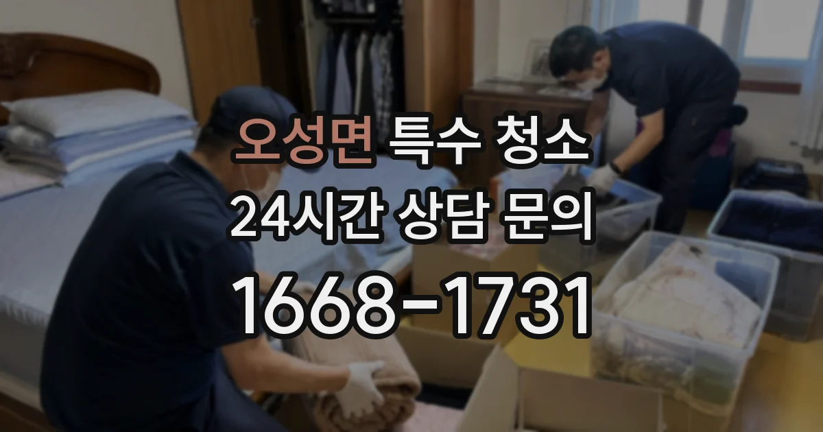 오성면 특수 청소