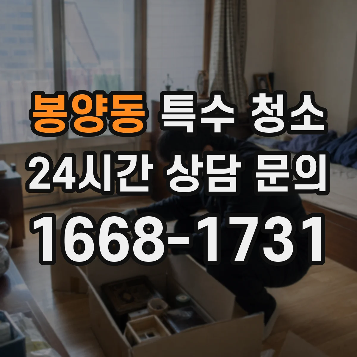 봉양동 특수 청소
