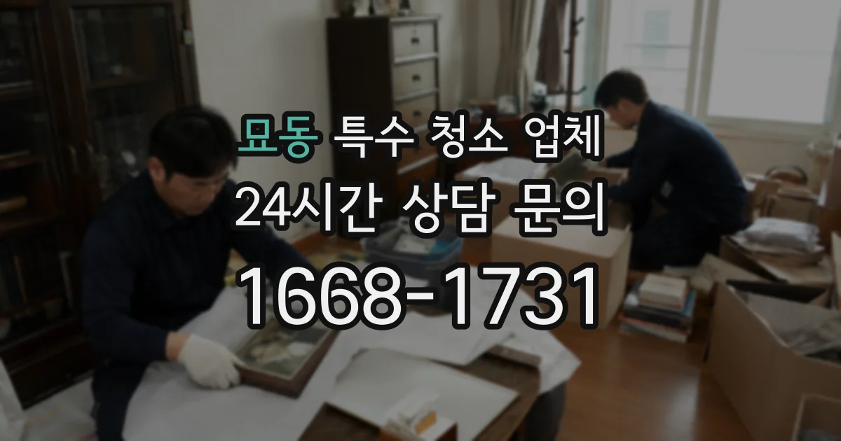 묘동 특수 청소 업체
