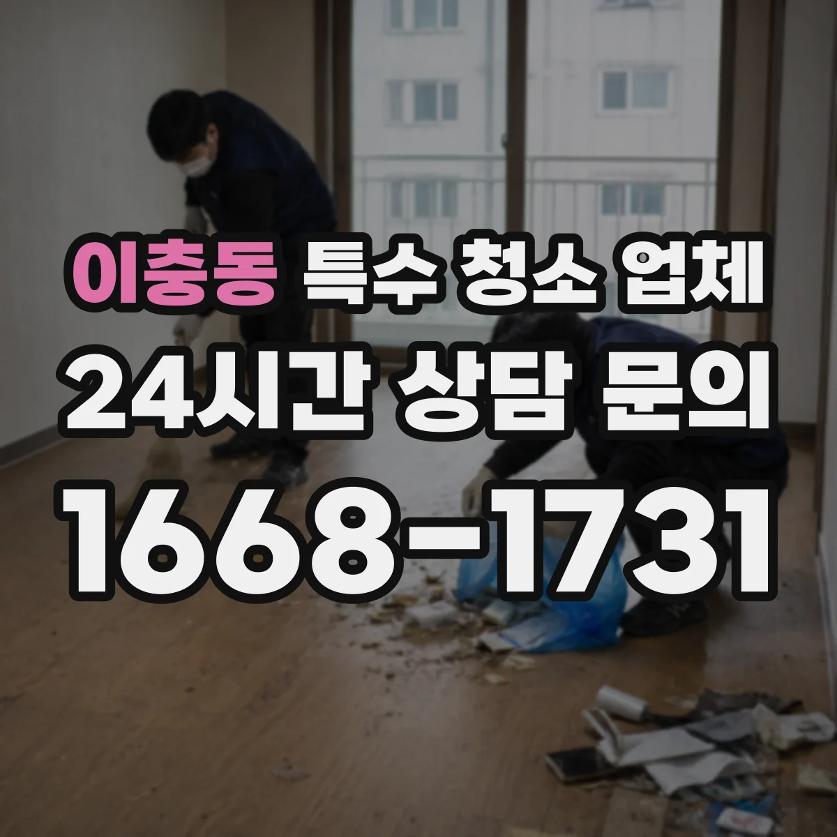 이충동 특수 청소 업체