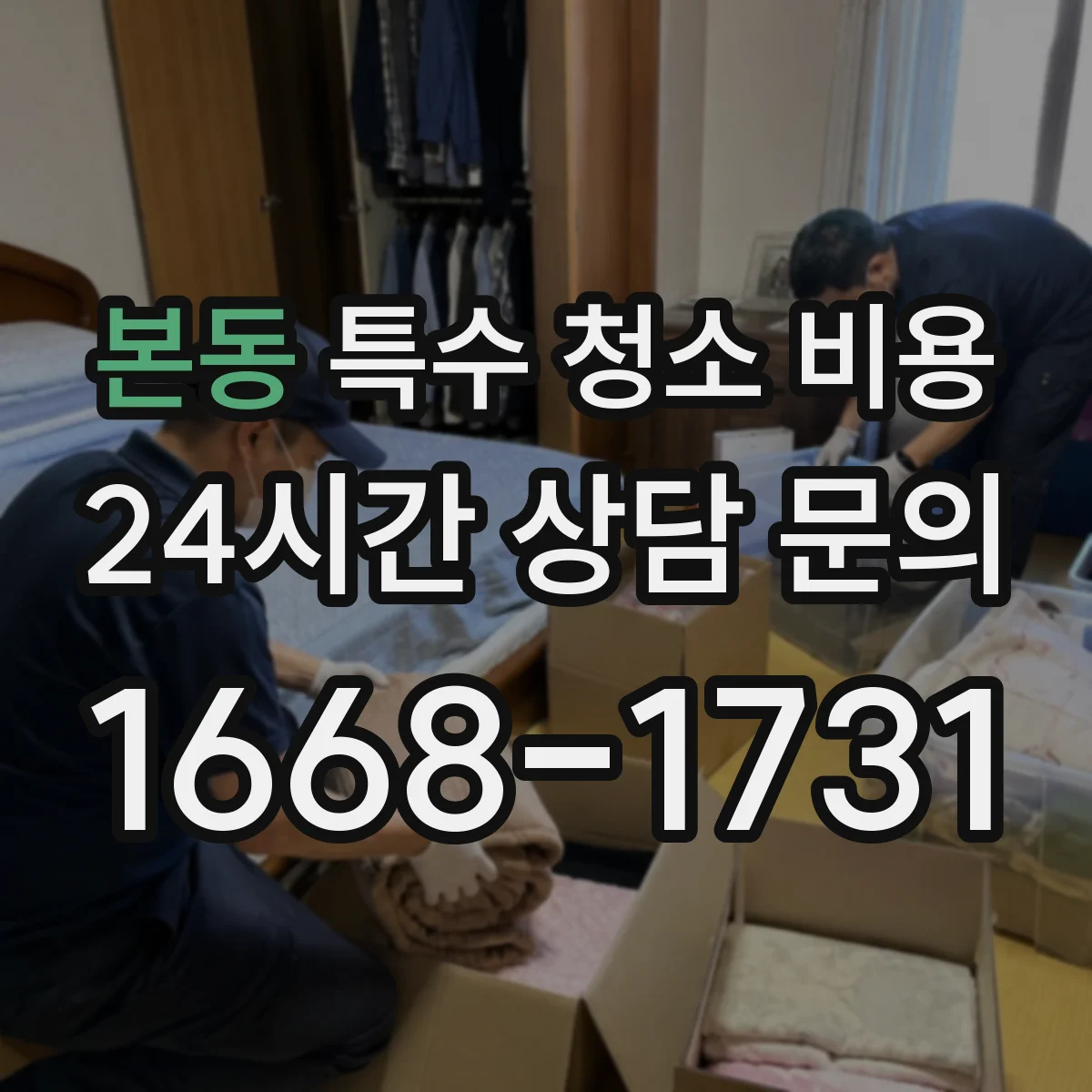 본동 특수 청소 비용