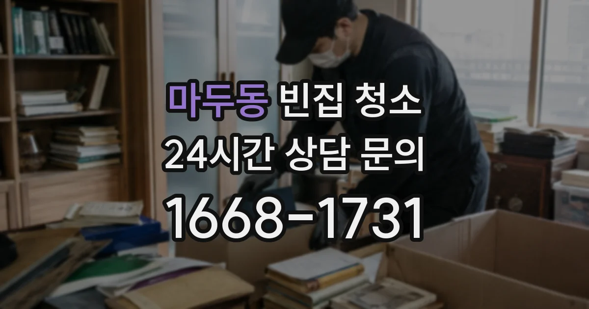 마두동 빈집 청소