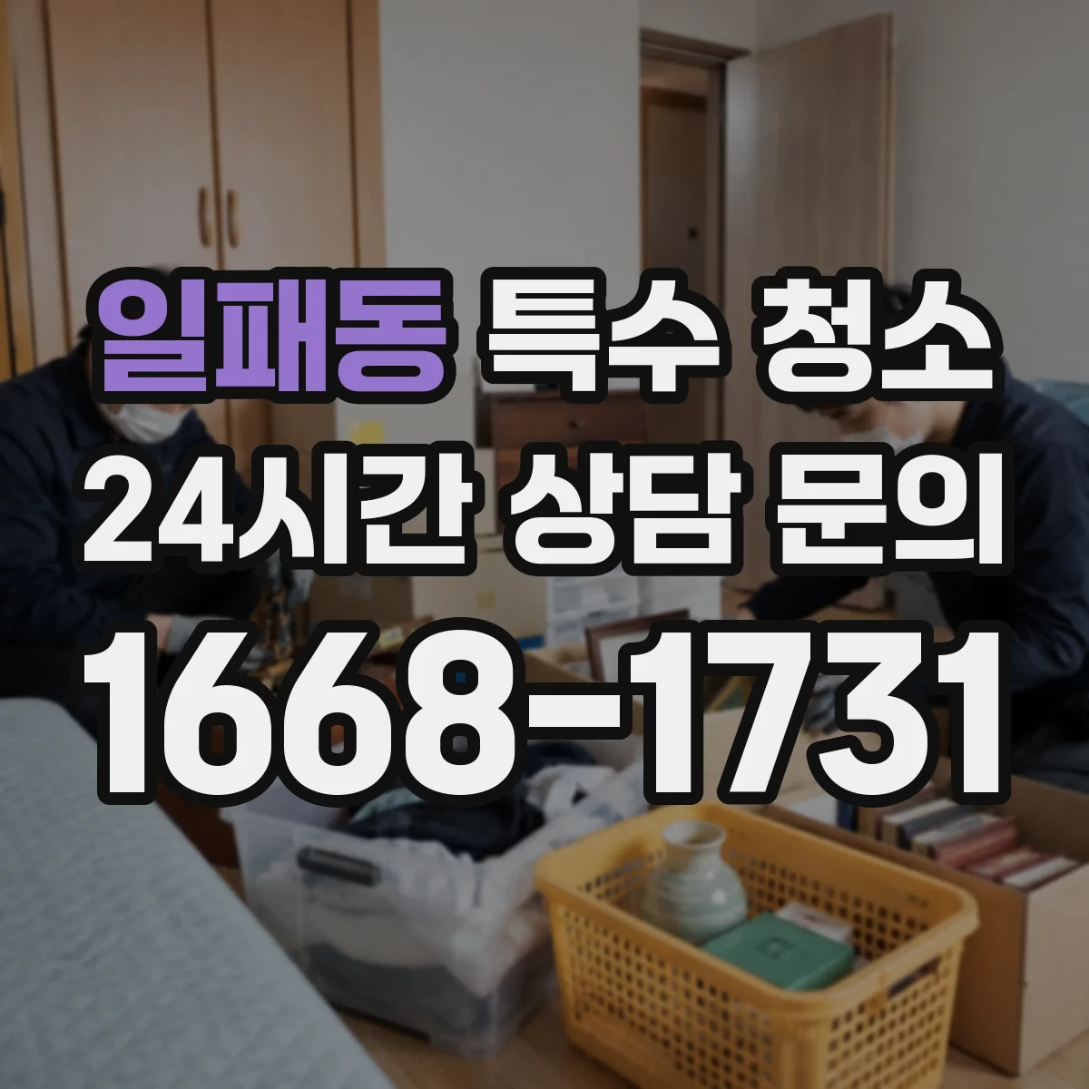 일패동 특수 청소