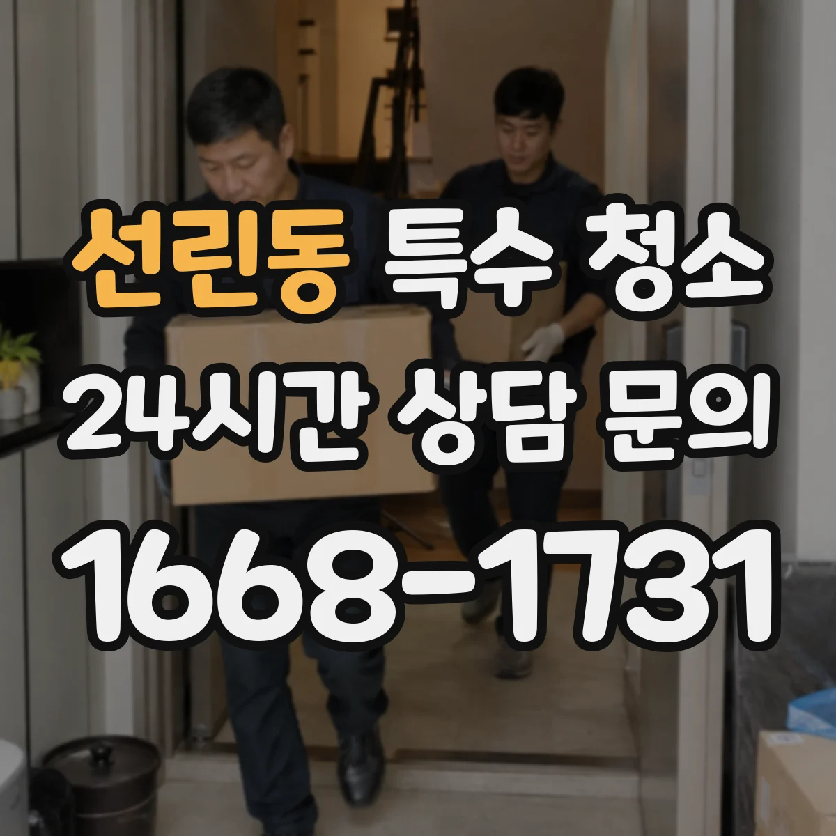선린동 특수 청소