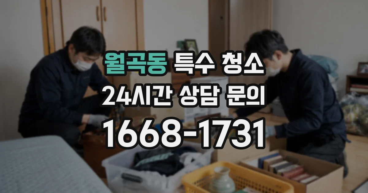 월곡동 특수 청소