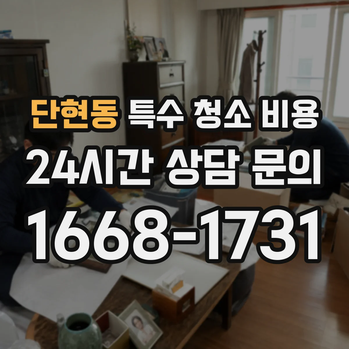 단현동 특수 청소 비용