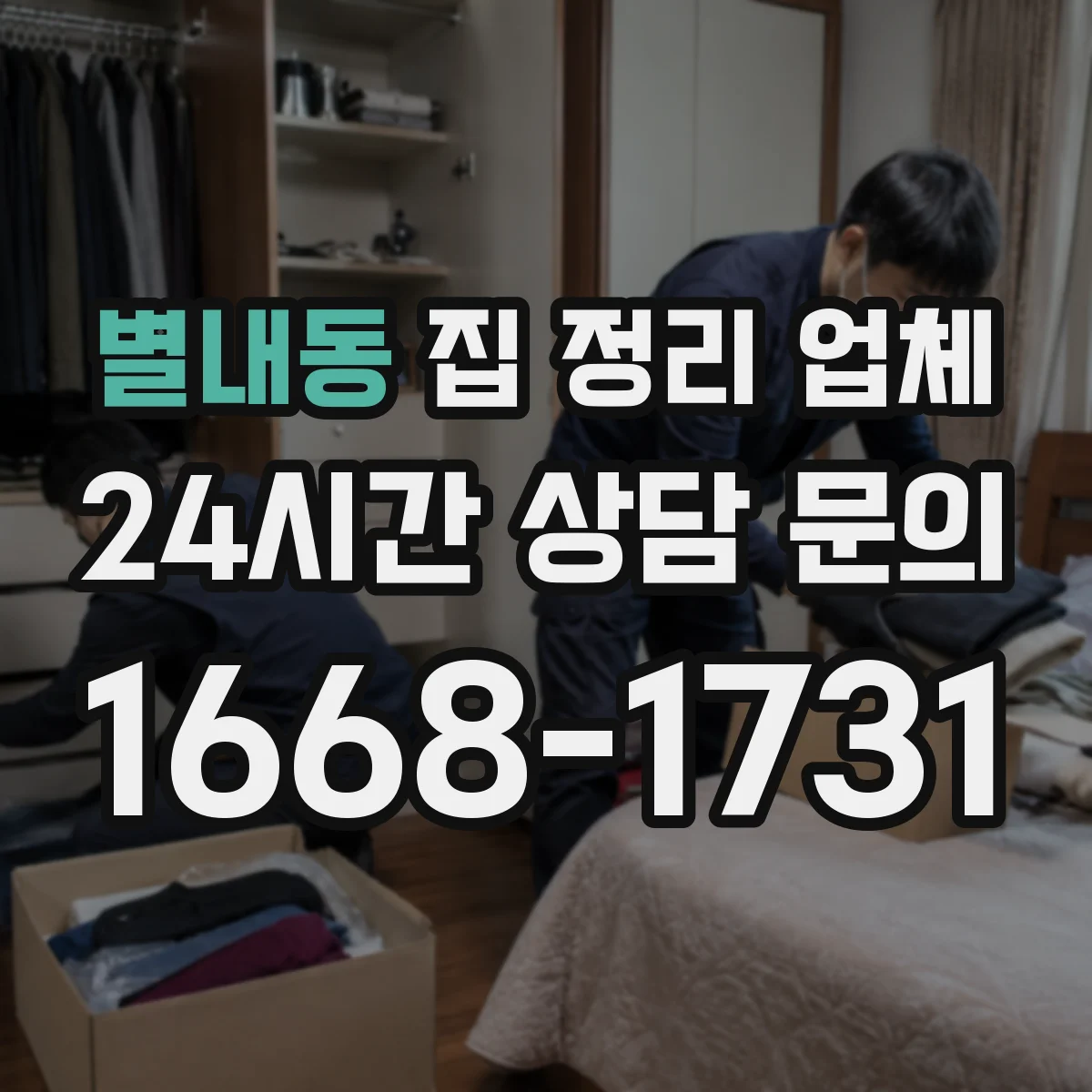 별내동 집 정리 업체