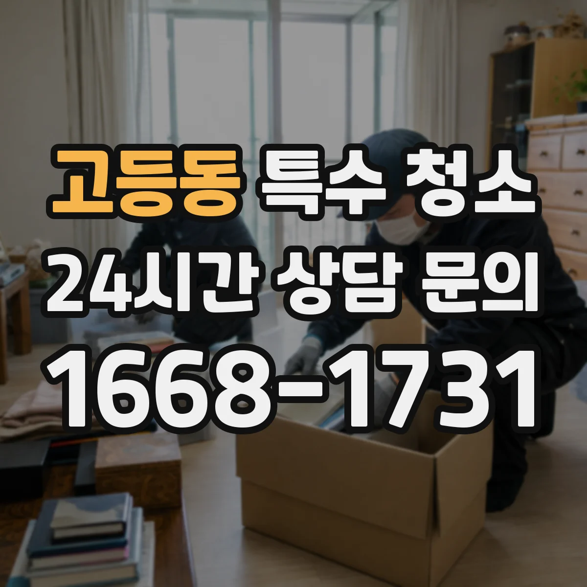 고등동 특수 청소