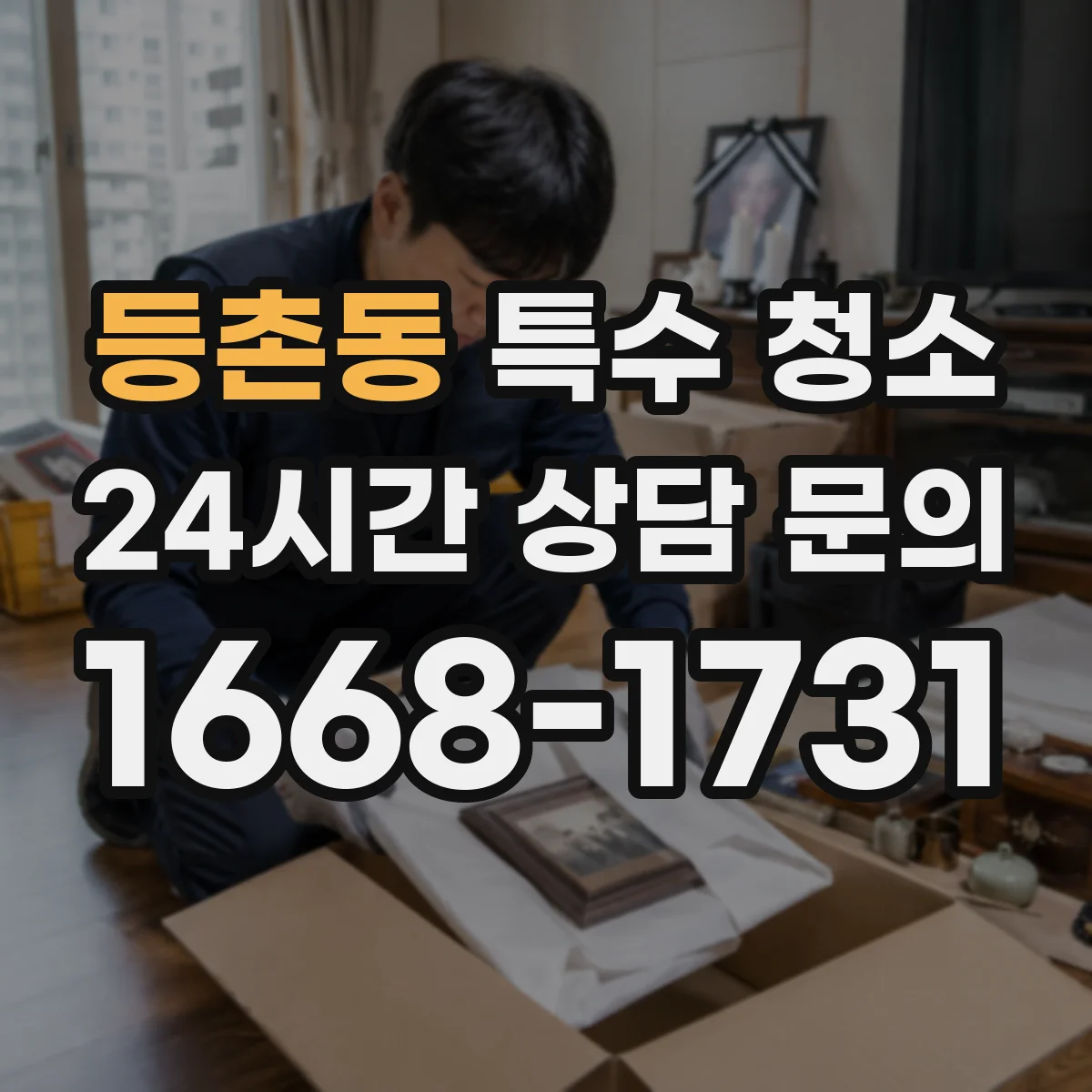등촌동 특수 청소