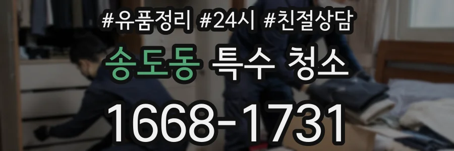 송도동 특수 청소