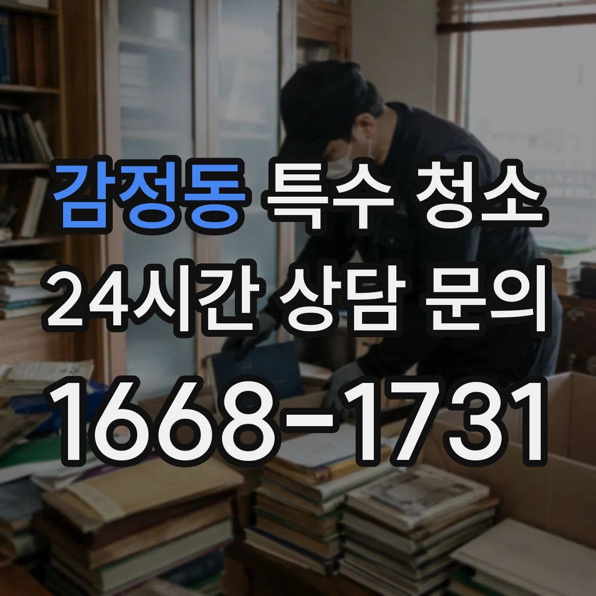 감정동 특수 청소