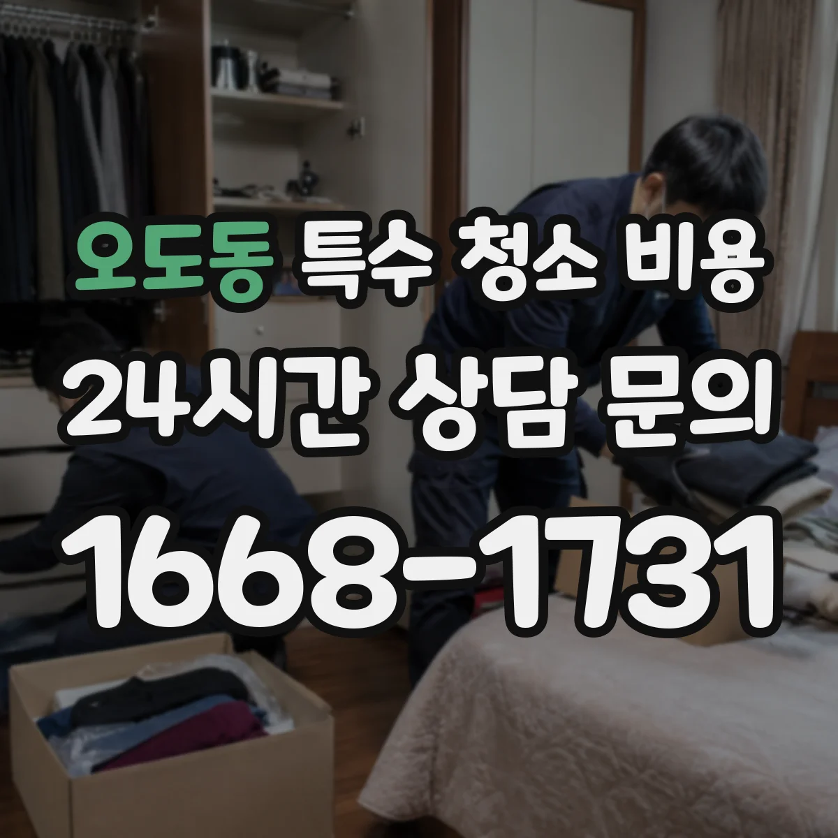 오도동 특수 청소 비용