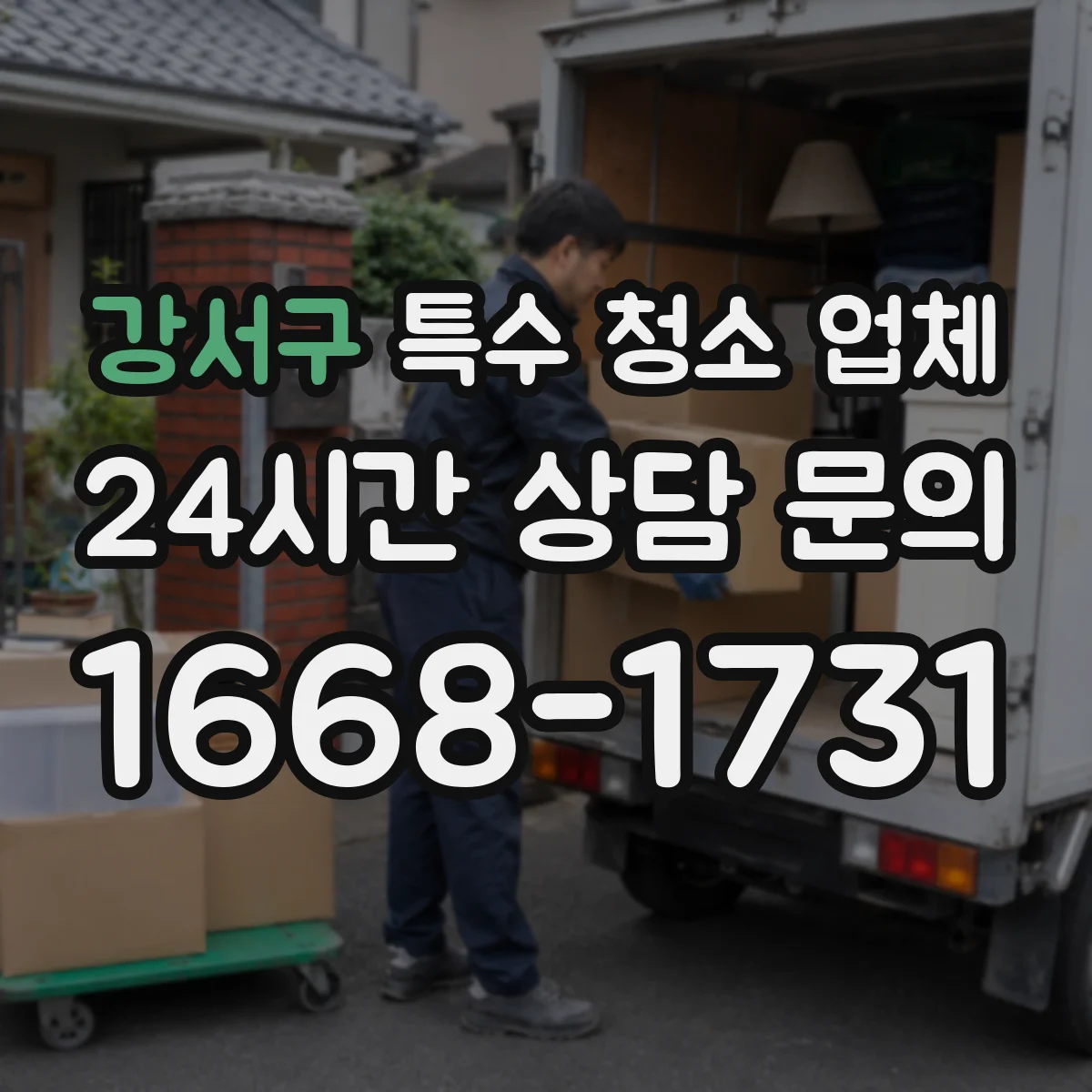 강서구 특수 청소 업체