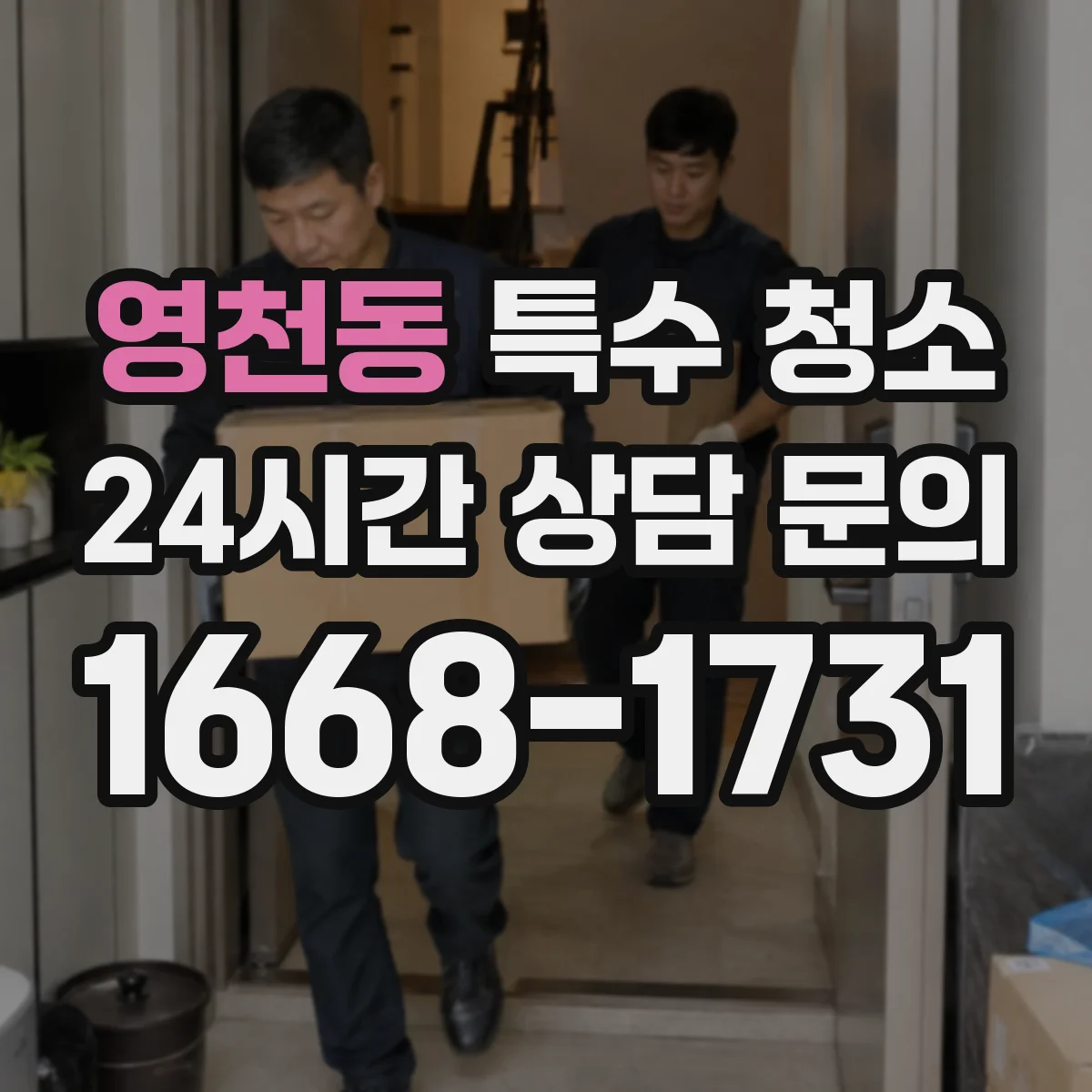 영천동 특수 청소