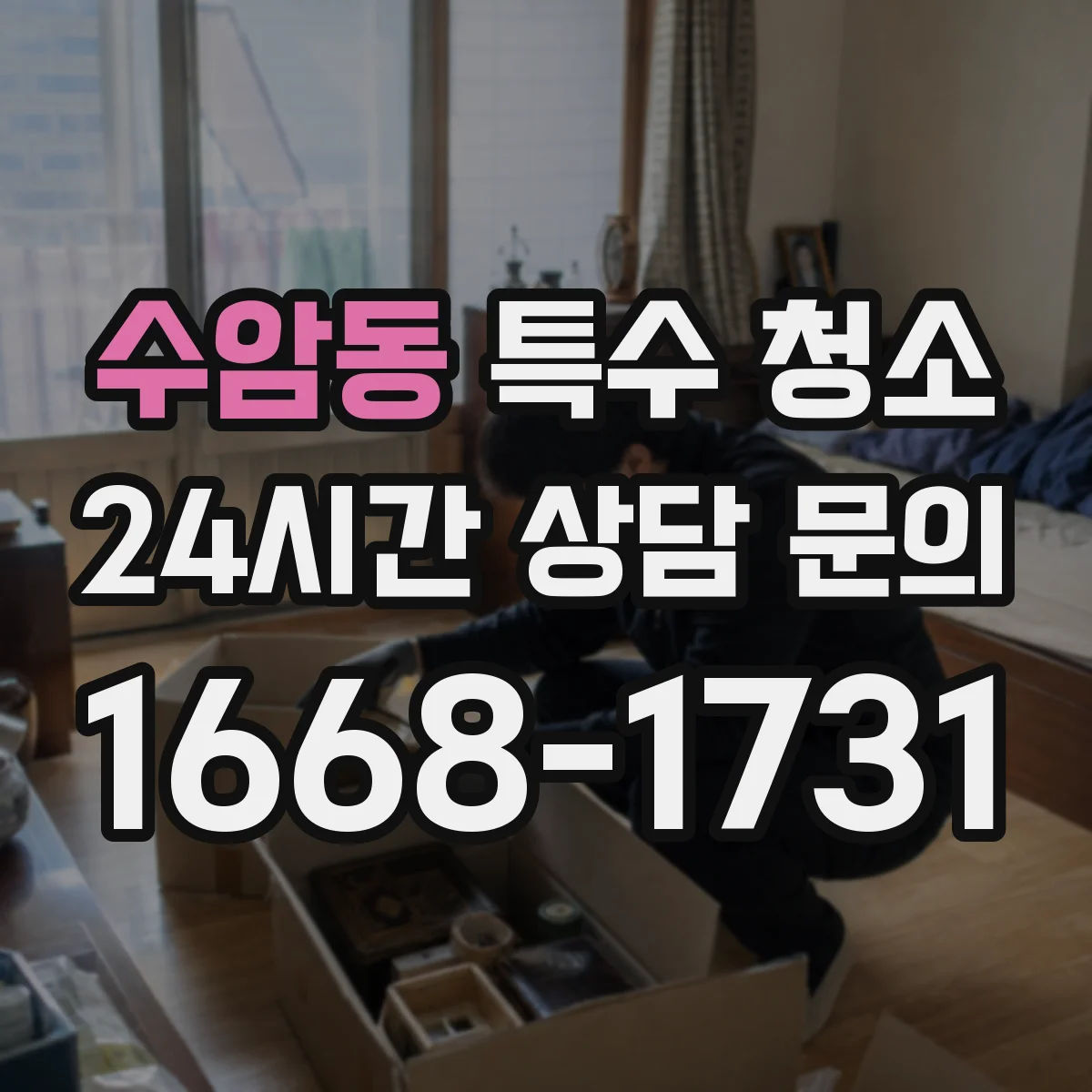 수암동 특수 청소