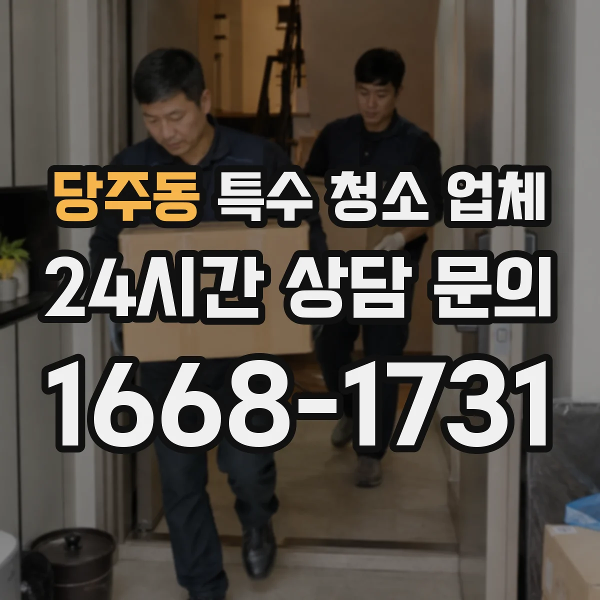당주동 특수 청소 업체 습기 흐름 진단 기반으로 결로 재발 예방