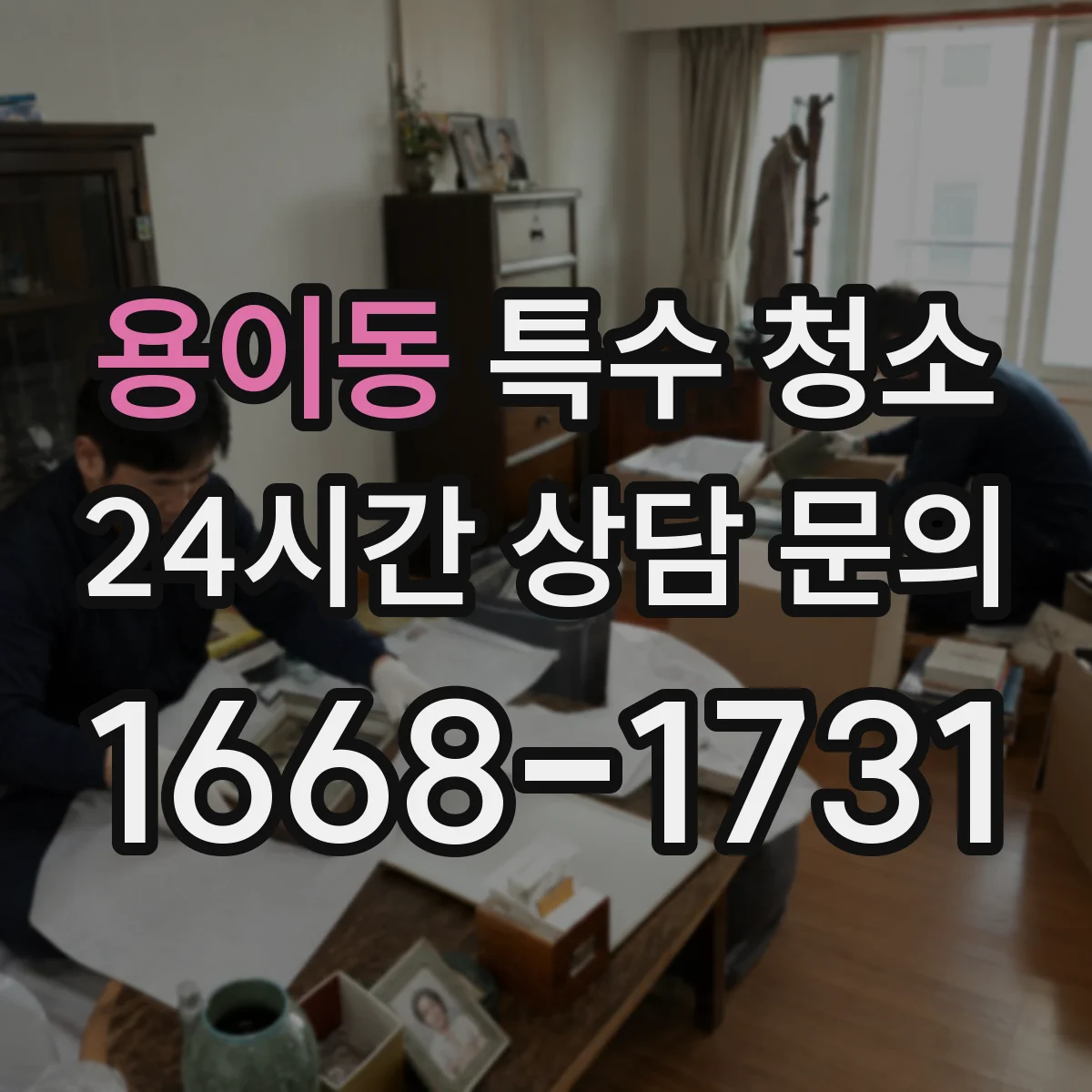 용이동 특수 청소