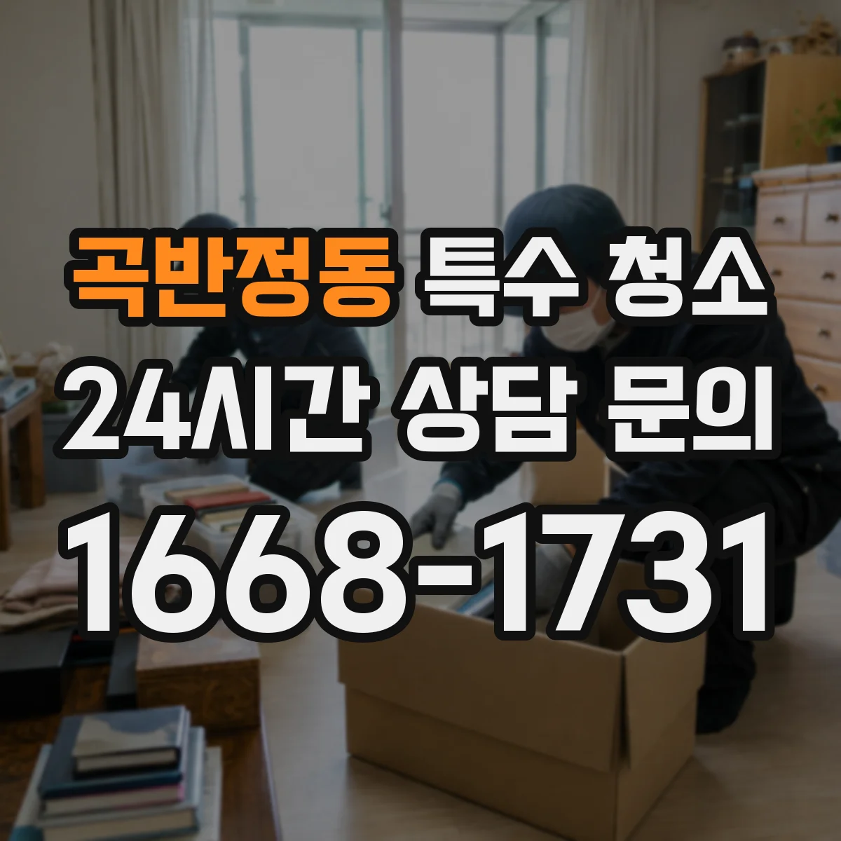 곡반정동 특수 청소