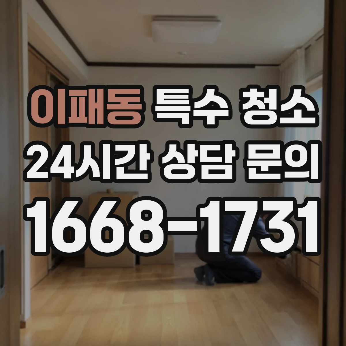 이패동 특수 청소