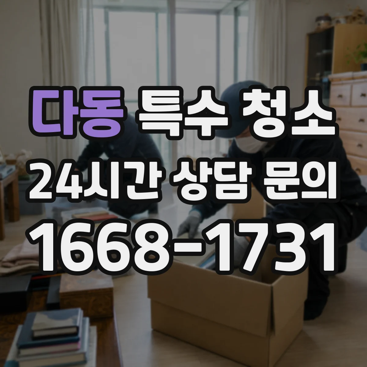 다동 특수 청소