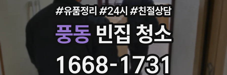 풍동 빈집 청소