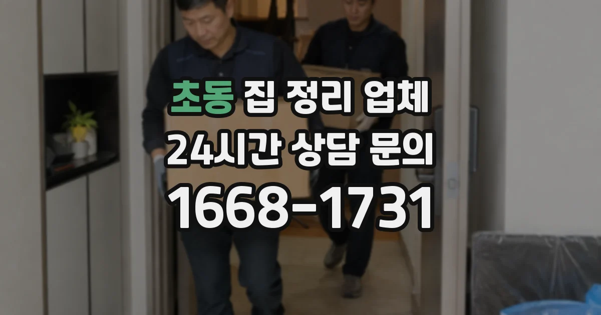 초동 집 정리 업체