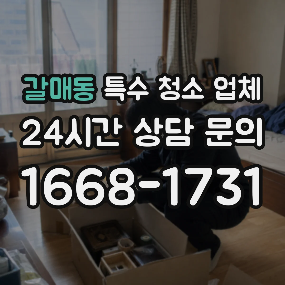 갈매동 특수 청소 업체